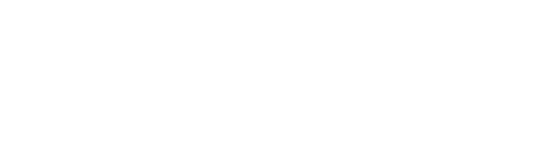logotipo picheta