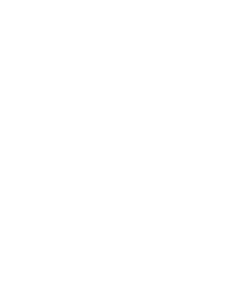 Logo-picheta-footer